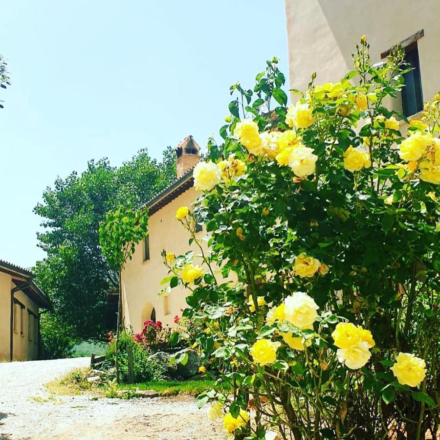 Agriturismo Il Covo Del Solengo Villa Valtopina Luaran gambar