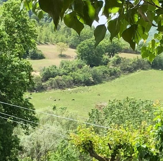 Agriturismo Il Covo Del Solengo Villa Valtopina Luaran gambar