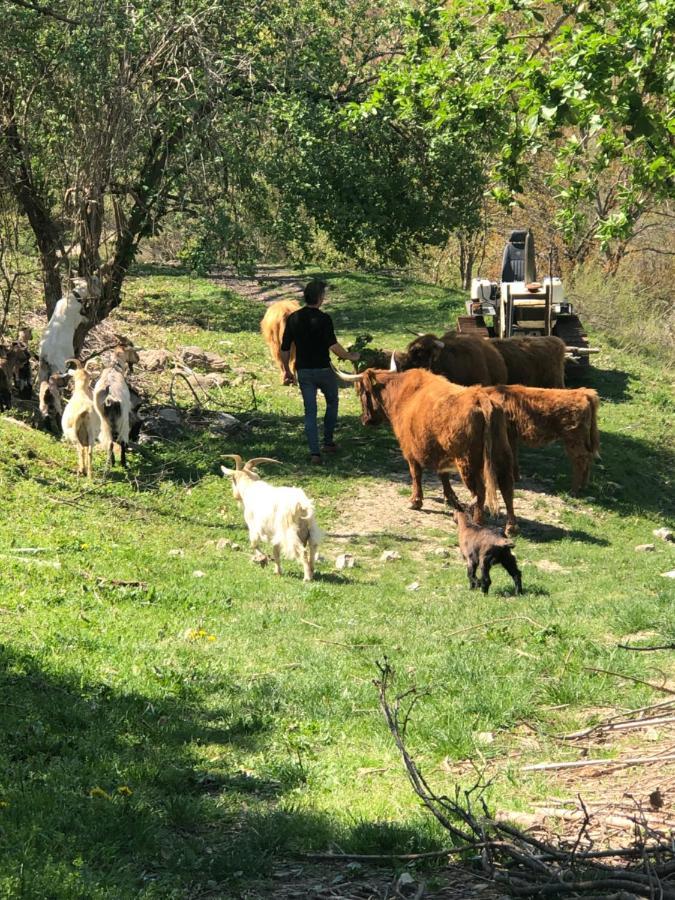 Agriturismo Il Covo Del Solengo Villa Valtopina Luaran gambar